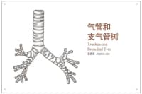 喉咙里总有痰，痰多还吐不完？可能是这里出了问题，别不当回事！